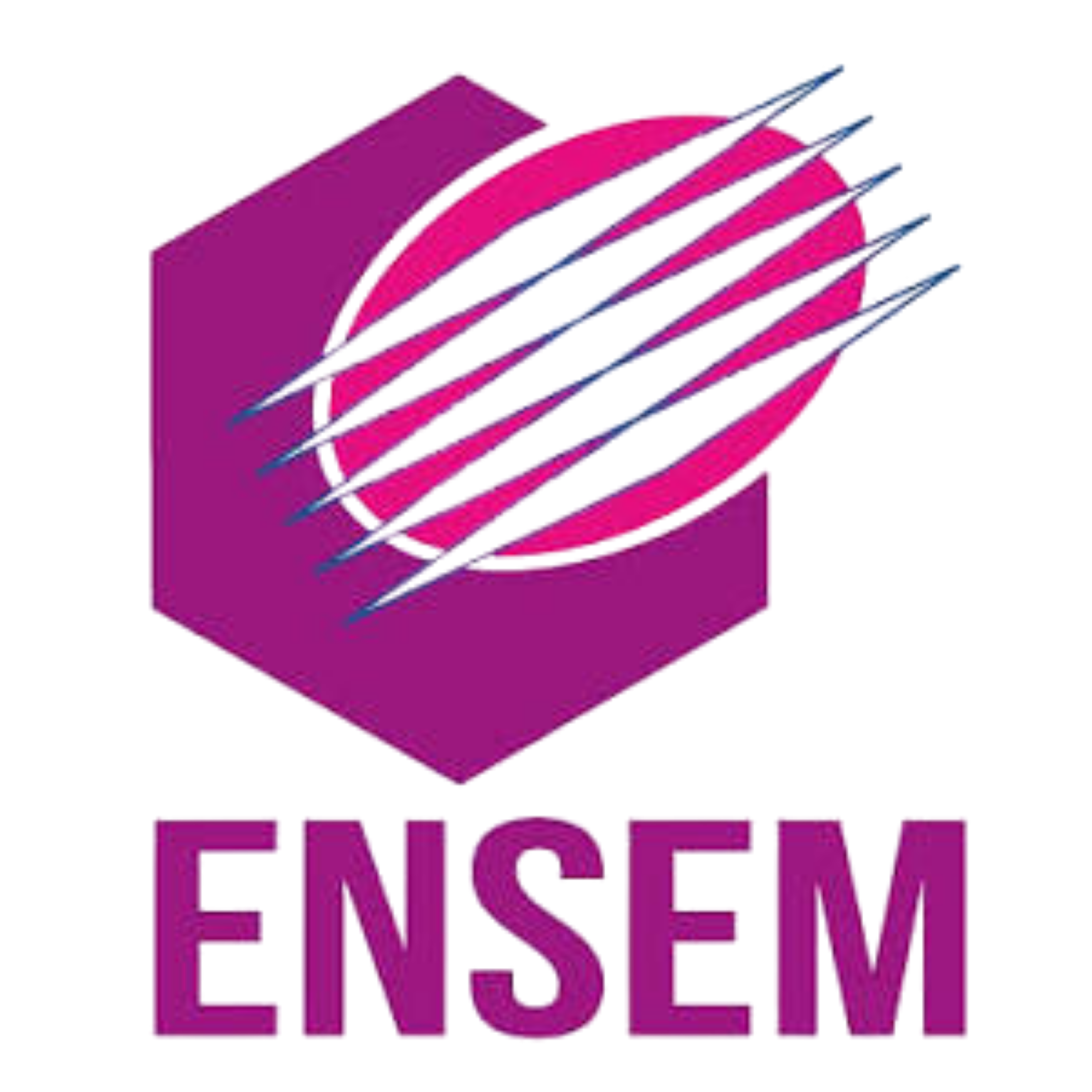 Logo de l’ENSEM
